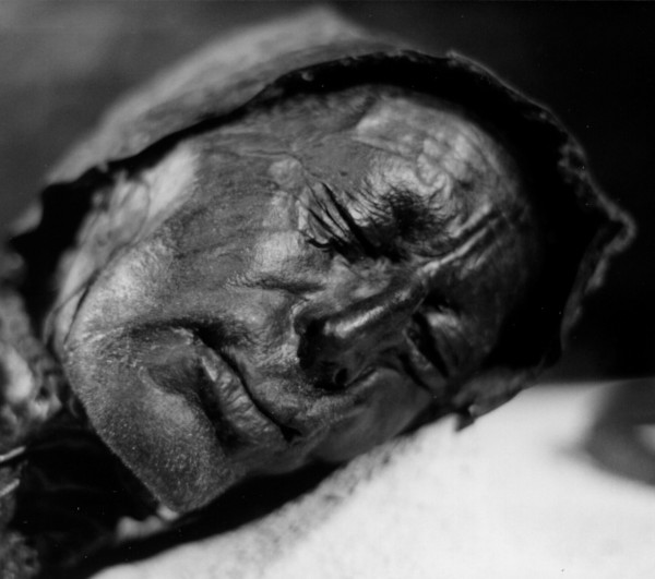 The head of Tollund Man, a Danish Iron Age bog body widely interpreted as a ritual sacrifice.