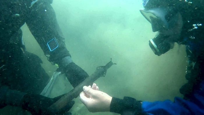 Espada de bronce de 3.000 años hallada en un lago italiano