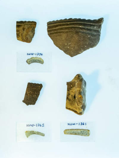 Pottery fragments from the Tampa Bay region