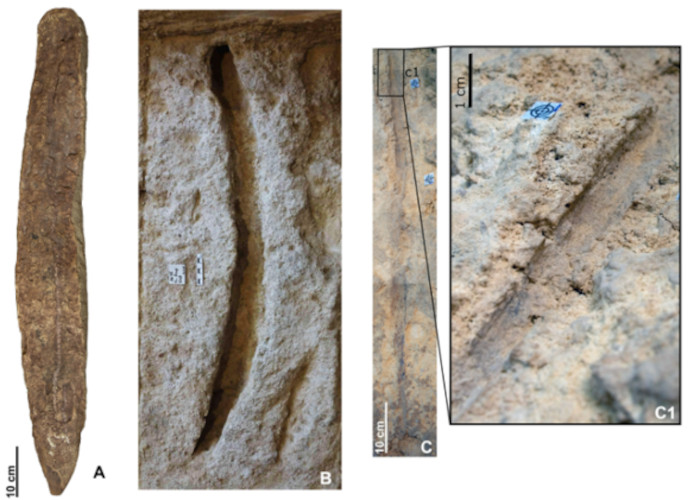 Impressions and remains of Pointed objects identified throughout the site,