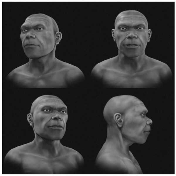 The grayscale version omits speculative hair and skin color.