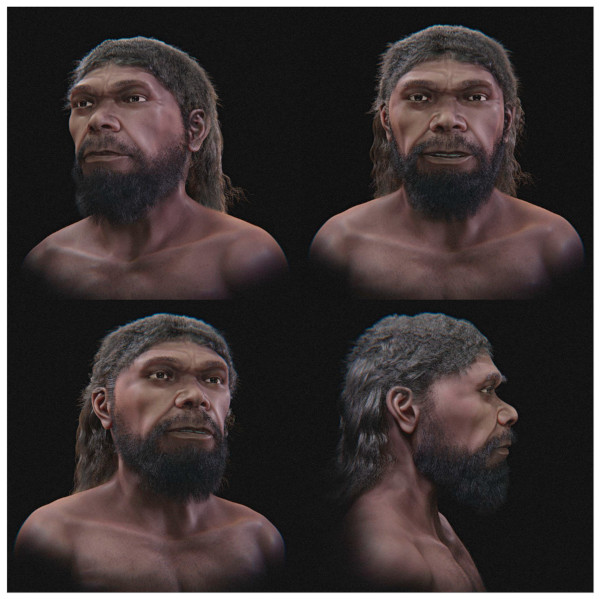 Four views of the proposed Jebel Irhoud face