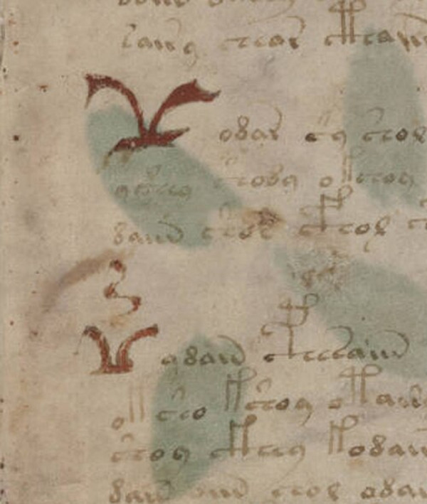 Detail from folio 1r, showing the manuscript’s distinctive symbols.