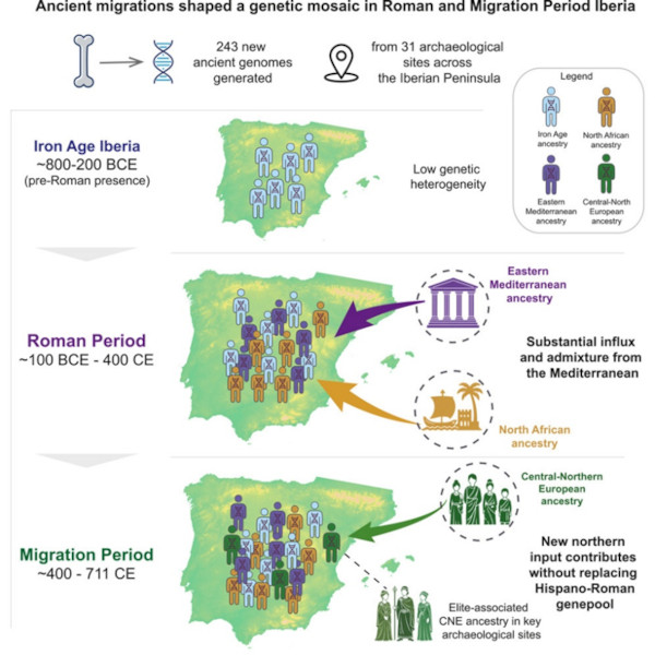 Graphic representation of Roman migrations to Iberian Peninsula