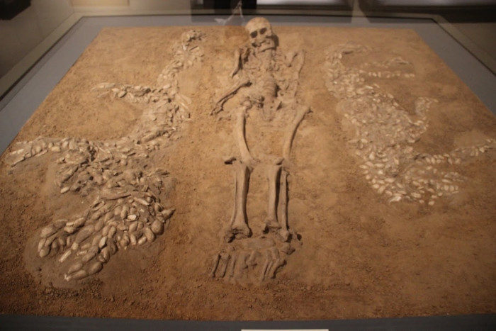 Human burial surrounded by shell mosaics from Xishuipo,